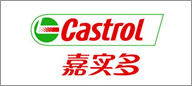 描述